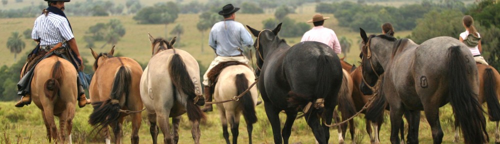horseandculture